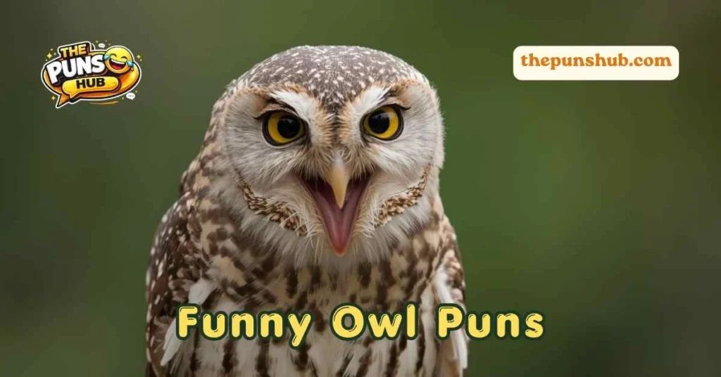 Funny Owl Puns