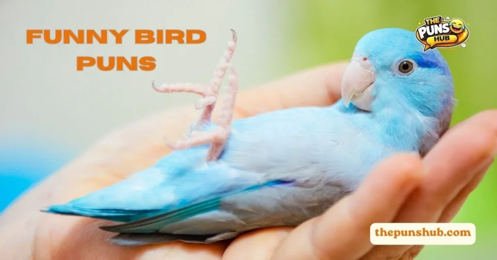 Funny Bird Puns